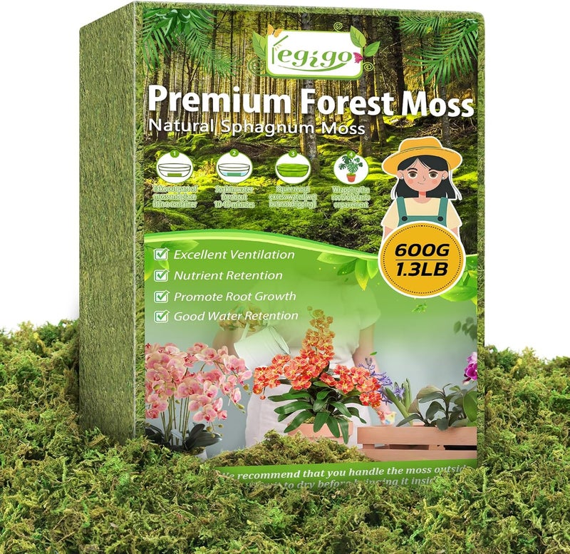 Legigo 1.3 LBS Green Moss for Crafts, Real Forest Moss for Plants Indoor, Table Decorative Centerpieces, Artificial Fairy Garden, Wedding Party Decor, Fake Potted Plants and DIY Craft Projects - Image 1